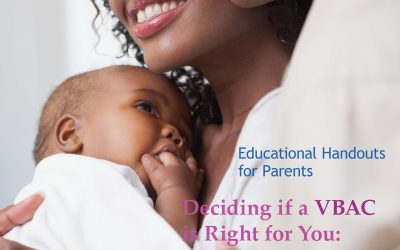 The VBAC Education Project: A Tool Kit for Mothers, Maternity Care Professionals & Birth Advocates
