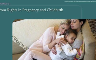 Empowering Expectant Parents: Discovering Your Rights in Pregnancy and Childbirth with Module 13